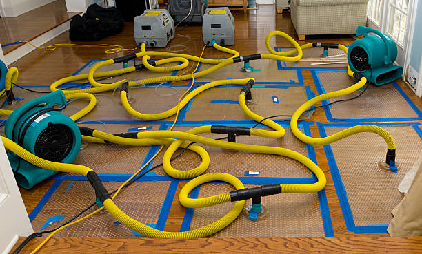 Professional Emergency Water Removal technician working in Delanson, NY